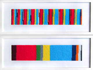 Pixel Parliaments – Individual Stripes