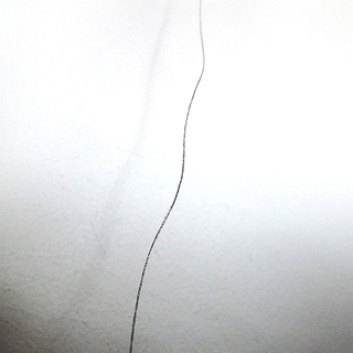 The Days of My Life – A Stitch per Day Alive