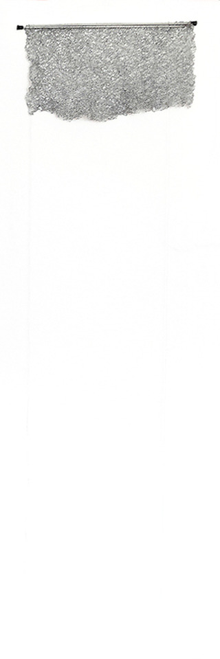 Leon (*2003) (Status: March 2021)