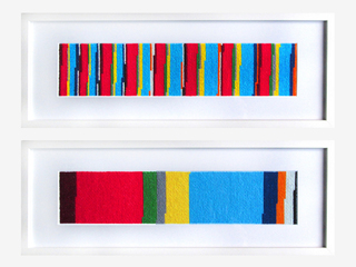 Pixel Parliaments – Individual Stripes